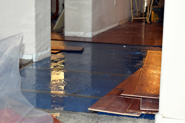 Professional Burst Pipe Cleanup technician working in Linden, TN
